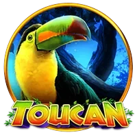 Chim Toucan