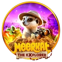 Meerkat Nhà Thám Hiểm