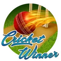 Quán Quân Cricket