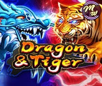 Rồng vs hổ