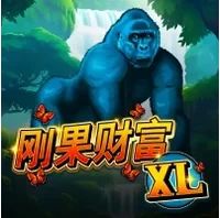 Tiền Mặt Congo XL