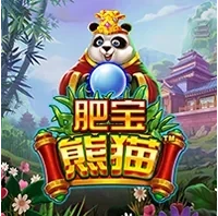 Gấu Trúc Béo