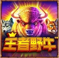 Vua Trâu Rừng
