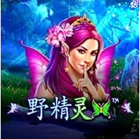 Những Nàng Tiên Hoang Dã