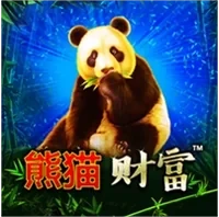 Kho Báu Gấu Trúc