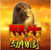Lễ Hội Rừng Xanh