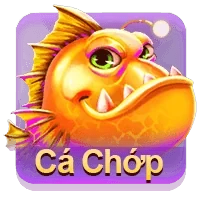 Cá Chớp