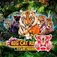 Wild Cats Multiline
