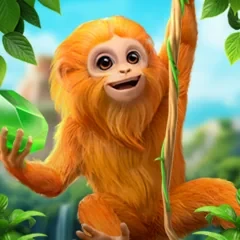 Khỉ Marmoset kho báu