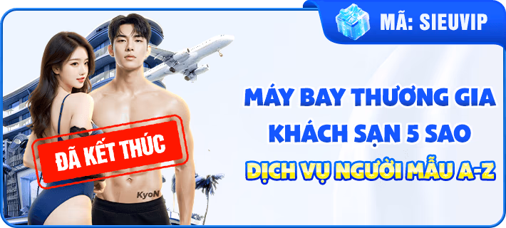 Máy Bay Thương Gia Khách Sạn 5 Sao Dịch Vụ Người Mẫu A-Z
